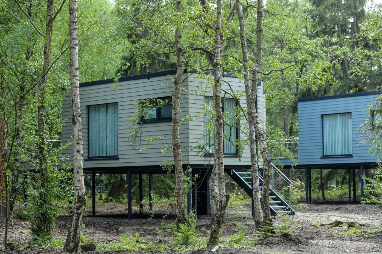 Wagenfeld Tierpark Entdeckerhaeuser מראה חיצוני תמונה