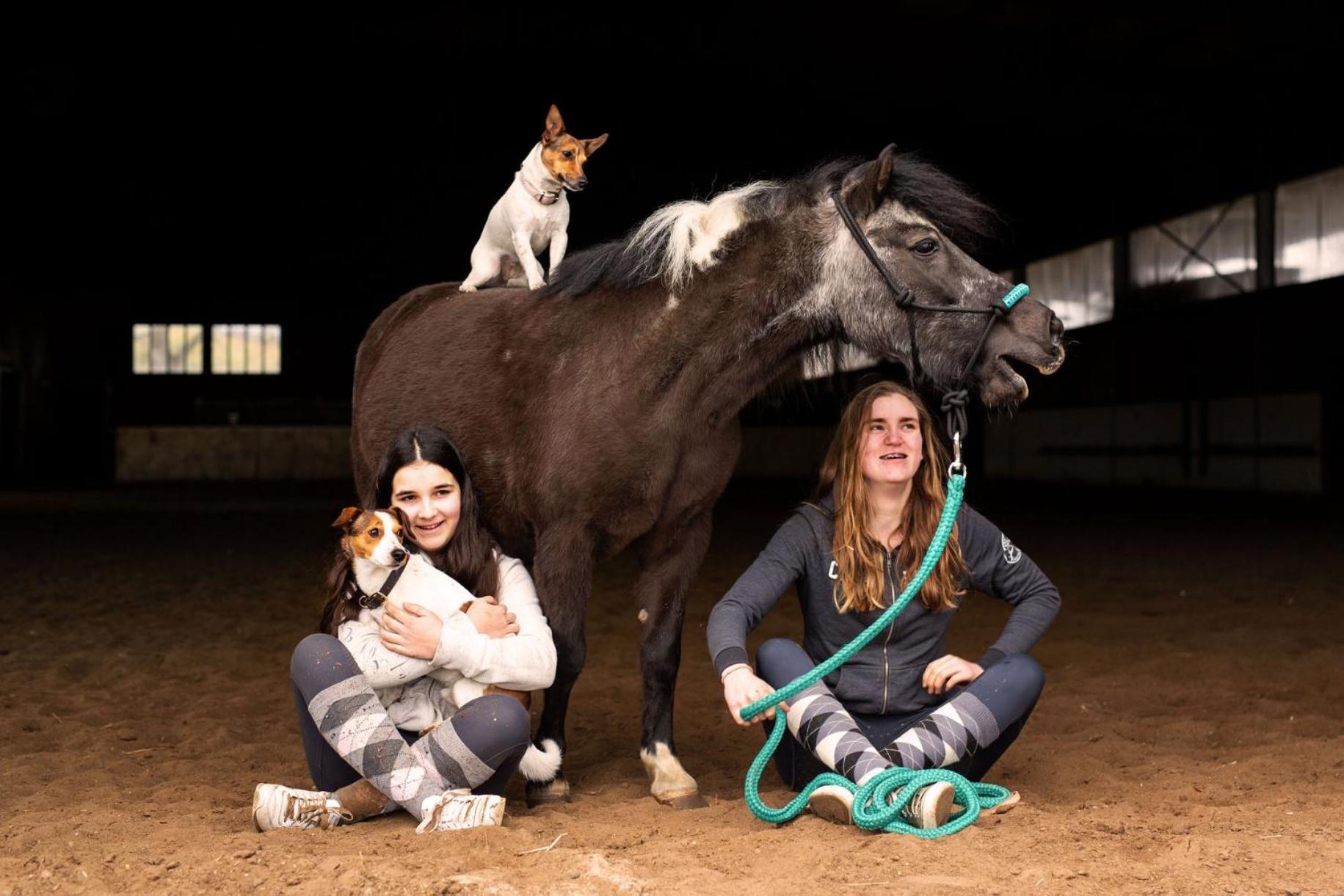 Wagenfeld Tierpark Entdeckerhaeuser מראה חיצוני תמונה
