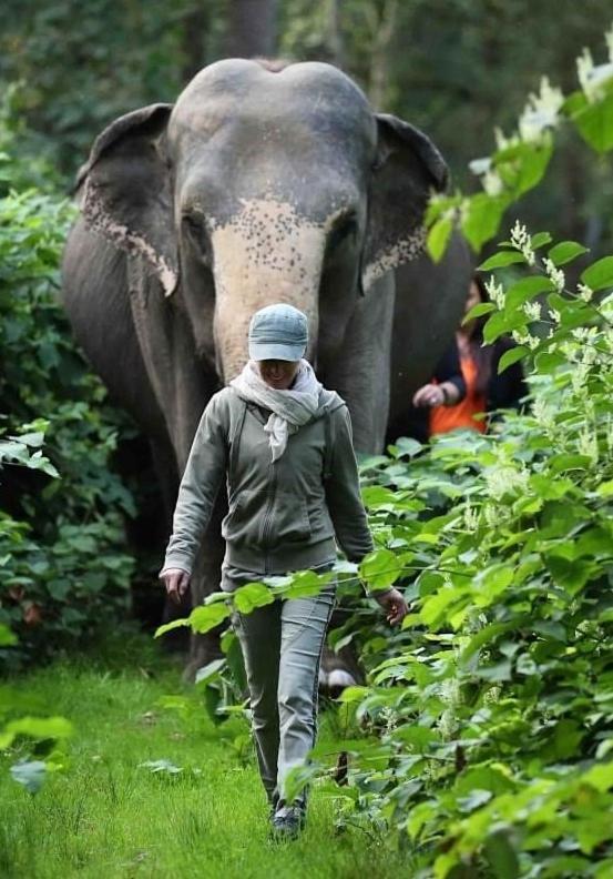 Wagenfeld Tierpark Entdeckerhaeuser מראה חיצוני תמונה