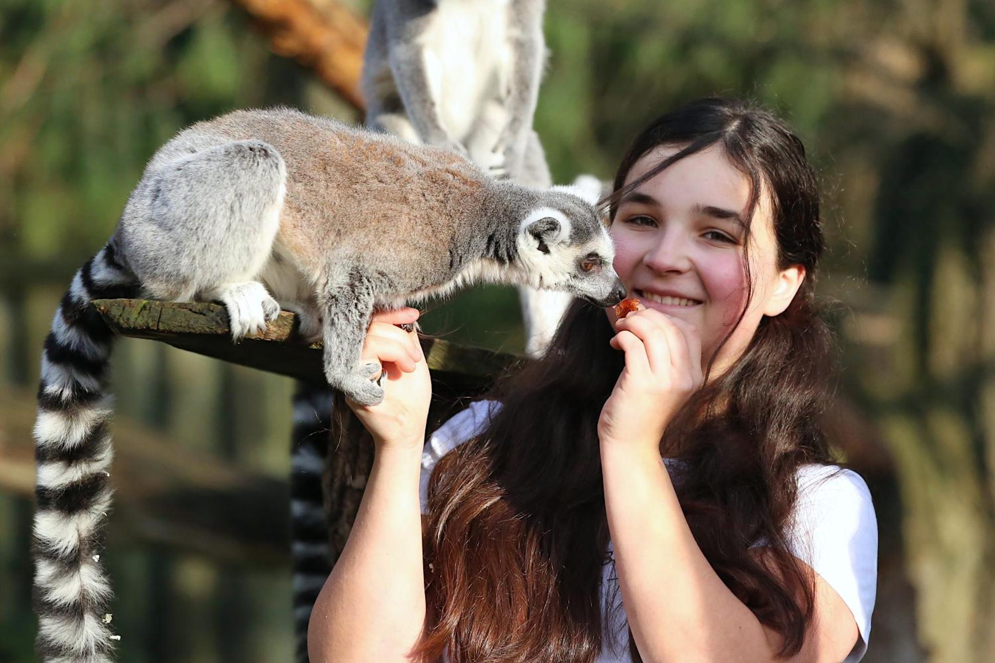 Wagenfeld Tierpark Entdeckerhaeuser מראה חיצוני תמונה